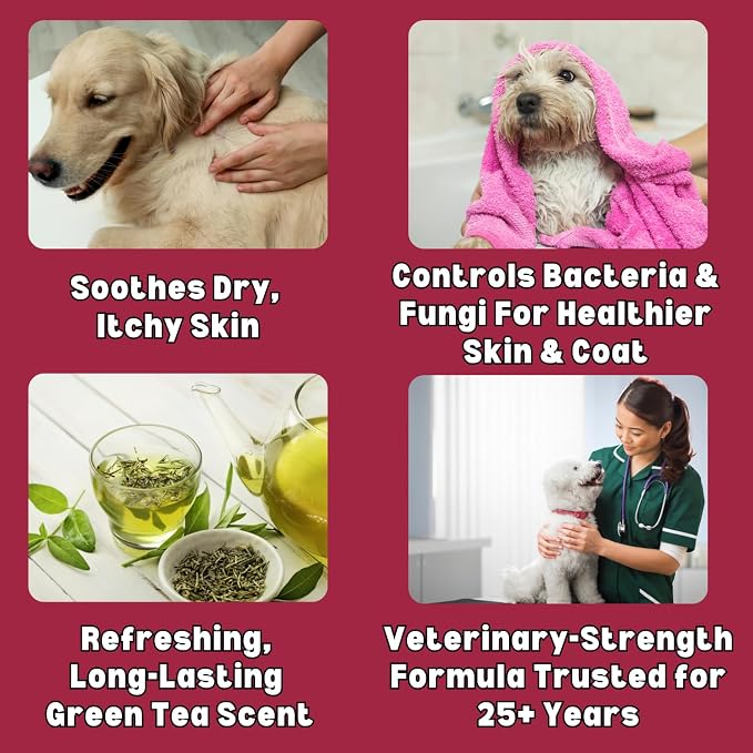 ShowSeason Soothe Itch Relief Pet Shampoo for Dogs & Cats 16 oz. | Antiseptic | Cools Red, Inflamed Skin | Made in USA