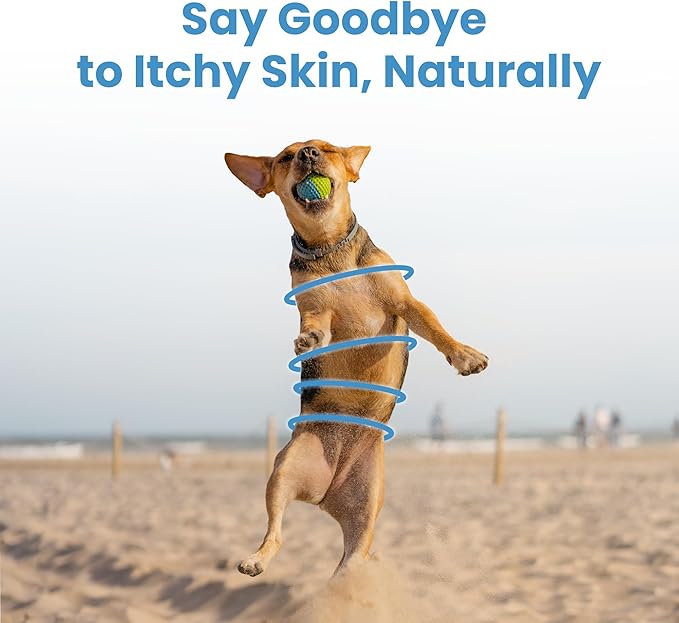 Project Sudz Medicated Dog Shampoo – Neem & Niaouli | Natural Medicated Liquid Shampoo for Dogs | Soothes Itchy Skin, Relieves Irritation, Eco-Friendly & Safe
