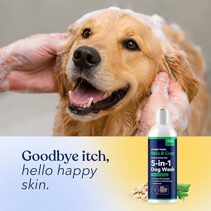 Honest Paws Dog Shampoo and Conditioner - Premium Dog Wash for Allergies and Dry, Itchy, Moisturizing for Sensitive Skin - Sulfate Free, Plant Based, All Natural - Oatmeal & Aloe -16 Fl Oz