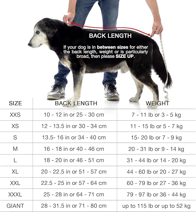 Lucky Pooch® Dog Robe - Luxurious Dog Bathrobe - Ultra Absorbent Dries Your Dogs in Minutes! Double-Layer, Super Soft Towel and Bath Robe All in One (L, Gray)