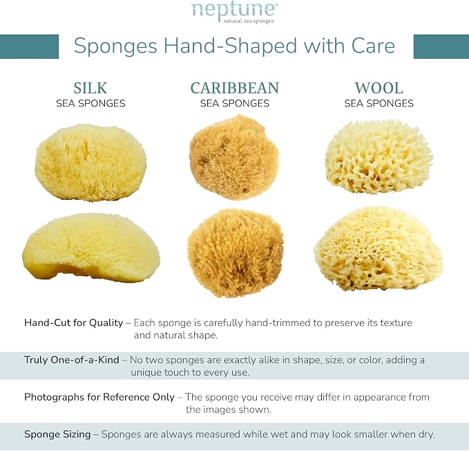Neptune Caribbean Sea Sponge for Face & Body, Small Approx. 4-5 Inches, Ultra-Soft Bath Sponge, Eco-Friendly & Biodegradable