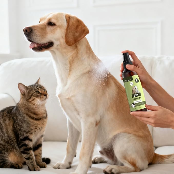 Dog Deodorizing Spray, Dog Spray for Smelly Dogs, Dog Smell Good Spray, Clean & Fresh Scent, 100ml/3.42fl.oz