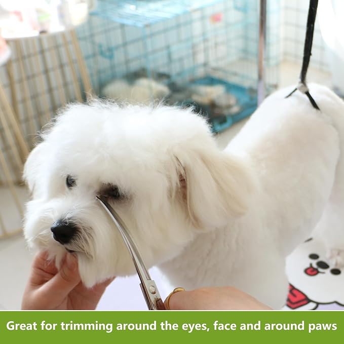 HASHIMOTO Curved Dog Grooming Scissors with Safety Round Tips, 6.5 inch. | Lightweight, No Stabbing with Blunt Tip, 440C Stainless Steel, Sharp, Friendly to amateur.