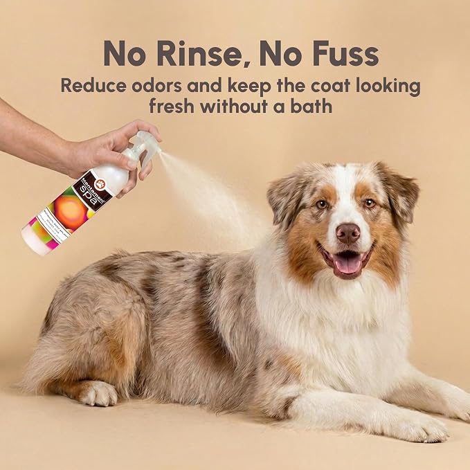 Best Shot Scentament Spa Botanical Body Spray, Body Spray Conditioner for Pets, Cat and Dog Cologne Spray, Sweet Pea, 8 Oz