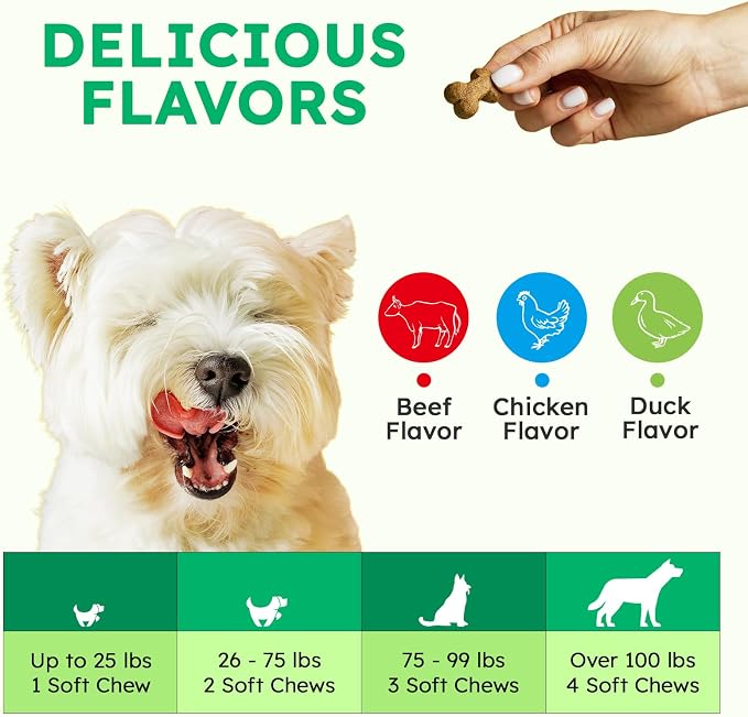 Tear Stain Chews and Eye Vitamins for Dogs - 150 Vision Soft Bites - Eye Supplements for Dogs with Lutein, Eyebright, Cranberry & Vitamin C - Chicken Flavor
