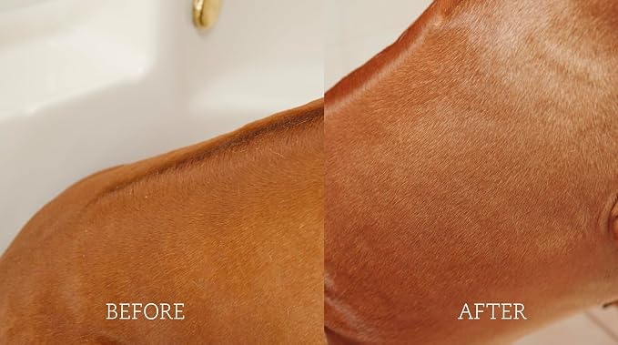 Soothing Hypoallergenic Dog Shampoo with Cold Pressed Argan Oil - Nourish Your Dog with Vitamin E & Peppermint for Soft & Smooth Dog Hair - Relief from Natural Itchy Skin (300 ML)