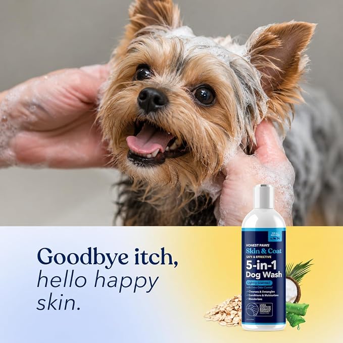 Honest Paws Dog Shampoo and Conditioner - Premium Dog Wash for Allergies Dry, Itchy, Moisturizing for Sensitive Skin - Sulfate Free Plant Based All Natural - Lightly Scented w/Odor Control -16 Fl Oz
