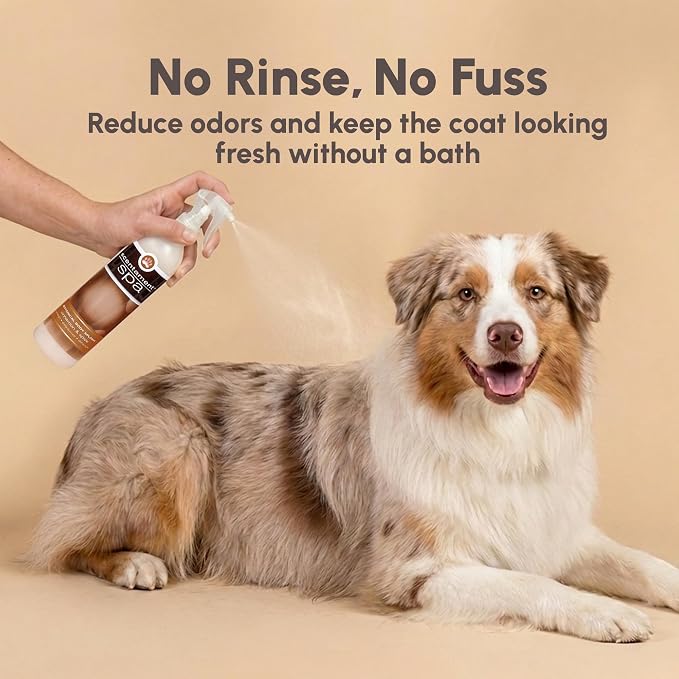 Best Shot Scentament Spa Botanical Body Splash, Body Spray Conditioner for Pets, Cat and Dog Cologne Spray, Alcohol-Free, Ready To Use, Cinnamon Spice, 8 Oz.