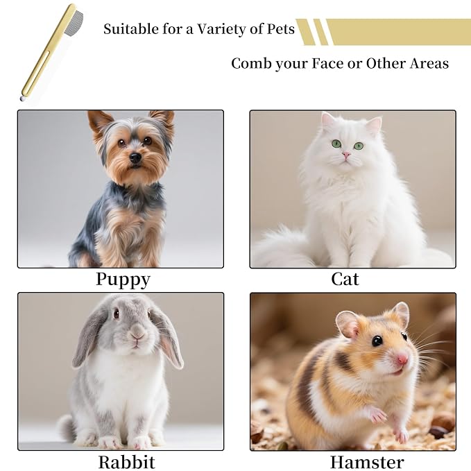 Precision Tear Stain Comb for Small Dogs Cats Face Eye Gunk Removal Tool ，Fit Yorkie, Shih Tzu, Maltese, Maltipoo, Pomeranian, Puppy Starter Kit, Pet Supplies (Yellow)