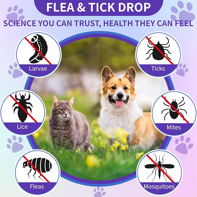 WEALLIN Flea and Tick Support for Dogs and Cats Natural Flea Treatment Drops with Multivitamin for Pets Oral Flea & Tick Prevention for Dogs and Cats Flea Herbal Drops for All Breeds and Ages