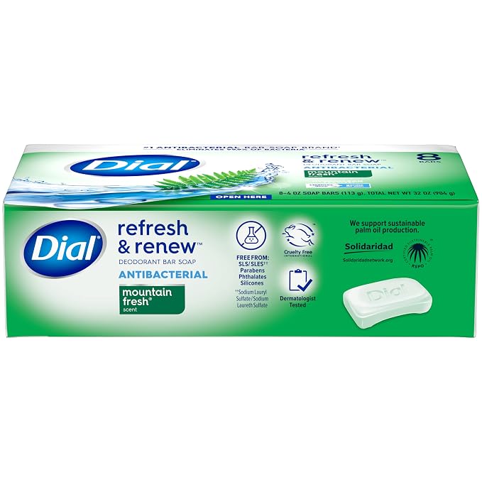 Dial Antibacterial Bar Soap, Refresh & Renew, Mountain Fresh, 4 oz, 32 Bars (Pack of 3)