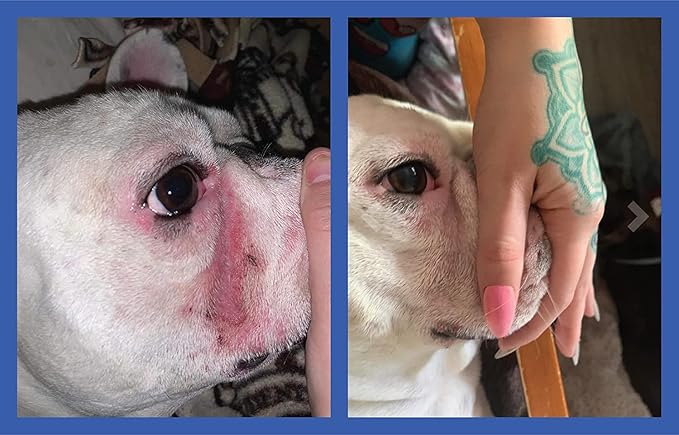 Squishface Silicone Applicator for Dog Wrinkle Paste & Tear Stain Cream