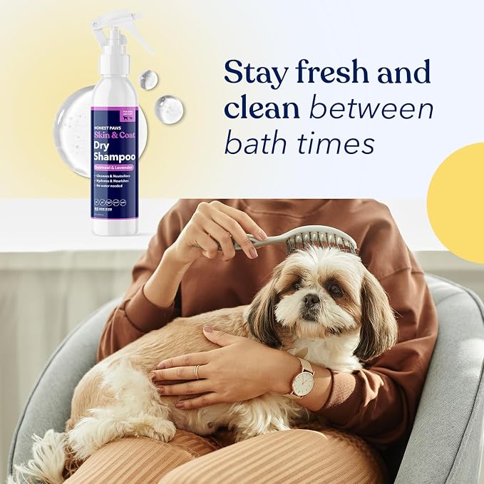 Honest Paws Dog Dry Shampoo - Waterless No Rinse Foaming Formula Reducing Itch Cleanse Hydrate Nourish Dry Skin and Smelly Coat Help Decrease Odor Shedding and Allergies - Oatmeal & Lavender - 8 fl oz