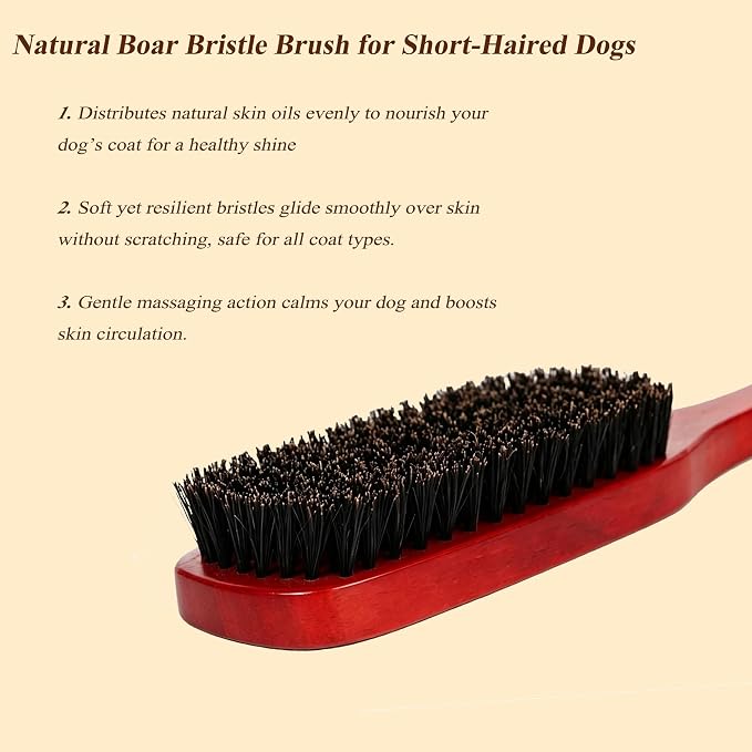 Boar Bristle Dog Brush for Short Haired Dogs, Natural Wooden Grooming Tool, Reduce Shedding, Detangle & Massage Sensitive Skin, Grooming to Calm Dogs & Build Pet Owner Bonding (Red sandalwood)