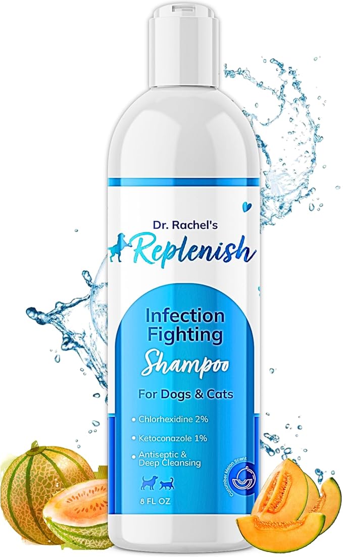 Replenish Anti Itch Dog Shampoo - Medicated Antiseptic Shampoo for Skin Irritation Treatment & Itchy Skin Relief - Dr. Rachel’s Chlorhexidine Dog Shampoo for Yeast with Cucumber Melon Scent - 8 oz