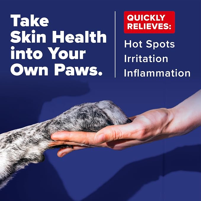 OxyMed Vet Strength Hot Spot Medicated Dog Shampoo, Itchy Skin Relief, Deep Cleaning, Healing Formula with Chlorhexidine, Lidocaine & Oatmeal, 20oz