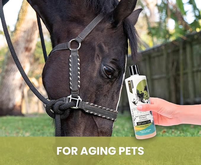 Holistic Natural Anti-Inflammatory Pet Shampoo: Veterinarian Recommended: Soothing Joints & Soreness for Dogs, Cats and Horses - Made in USA - 16 oz
