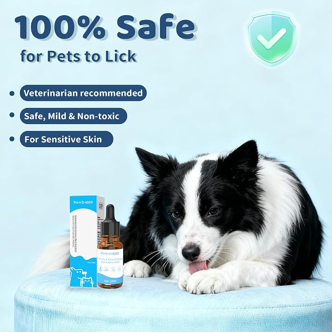 2 Pack No-Rinse Coat Care Essence for Dogs & Cats | Includes Fine Mist Spray Bottle (60ml/2oz Refillable) to Nourish & Shine | Conditioning Formula Soothes Skin, Pomegranate Scent (Transparent)