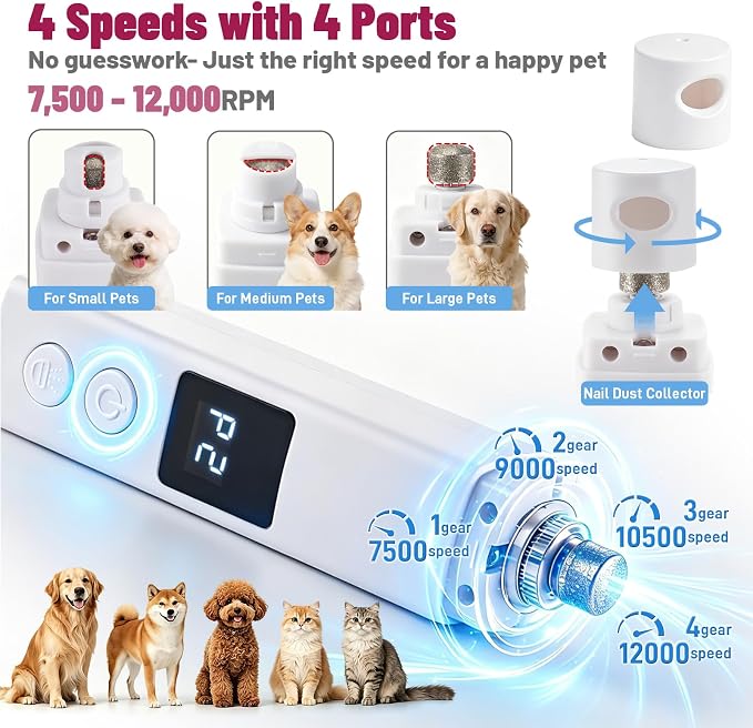 Quiet Dog Nail Grinder with Guard for Dogs Cats | Electric,4-Speed, LED Lights, Grinding Bits, Rechargeable Cordless, Safe Painless, Pet Nail Trimmer for small medium Breeds