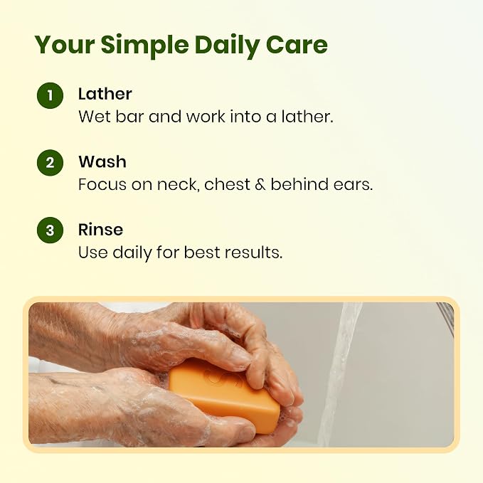 Japanese Persimmon Cleanser Bar 2 Pack Bundle for Body Odor, Solution for Old People Smell - Natural Ingredient Body Bars, Organic Formula, Skin Care, Cleansing Hygiene 1 oz