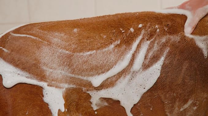 Soothing Hypoallergenic Dog Shampoo with Cold Pressed Argan Oil - Nourish Your Dog with Vitamin E & Peppermint for Soft & Smooth Dog Hair - Relief from Natural Itchy Skin (300 ML)