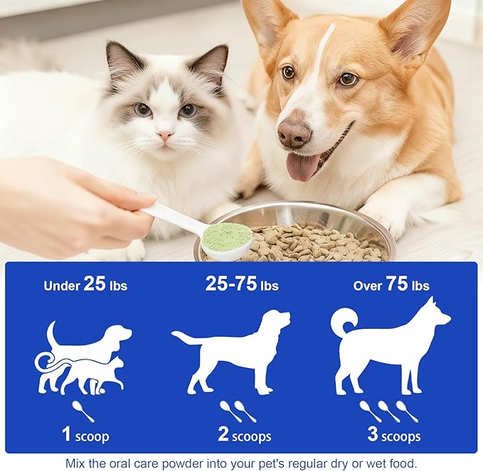 Dog Dental Powder for Fresher Breath - Dog Teeth Cleaning Powder Natural Plaque & Tartar Support with Probiotics & Enzymes lab co, Oral Care Supplement for Pet 160g