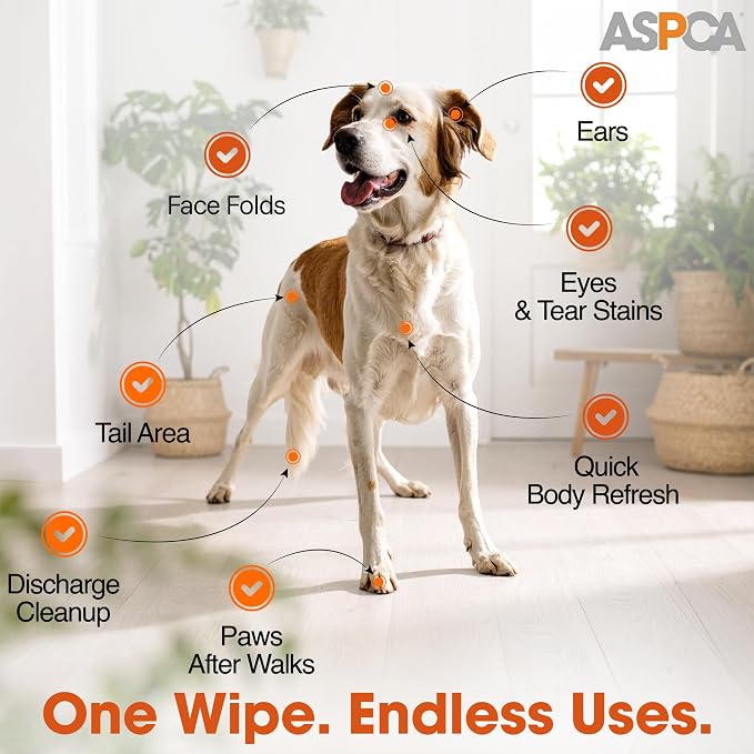 ASPCA-Pet Cleansing Wipes Canister | Resealable Pet Wipes for Paws, Face, Ears & Coat | No-Rinse Grooming Solution | Gentle Daily Cleaning for Pets | Thick, Soft & Chemical-Free | Lavender | 200 Count