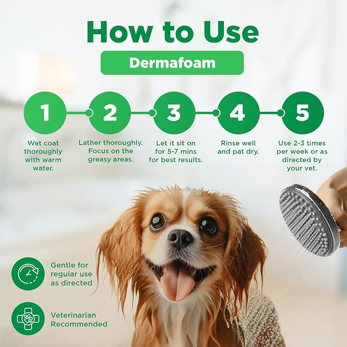 DermaFoam Dog Shampoo 16 oz | Pet Supplies for Odor Control & Greasy Coats – Sulfate Free Moisturizing Formula Pet Shampoo, Fresh Cucumber Scent 500ml