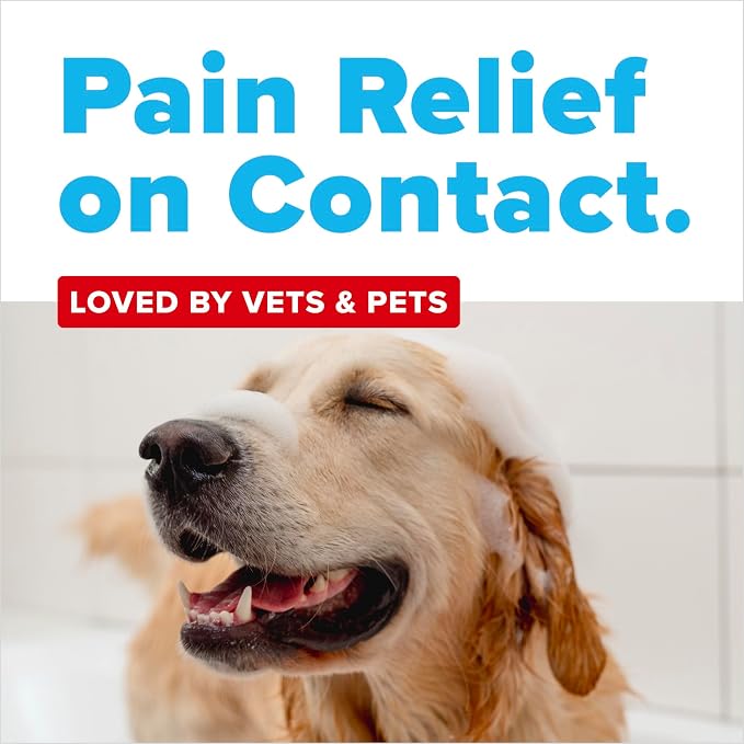 OxyMed Vet Strength Hot Spot Medicated Dog Shampoo, Itchy Skin Relief, Deep Cleaning, Healing Formula with Chlorhexidine, Lidocaine & Oatmeal, 20oz