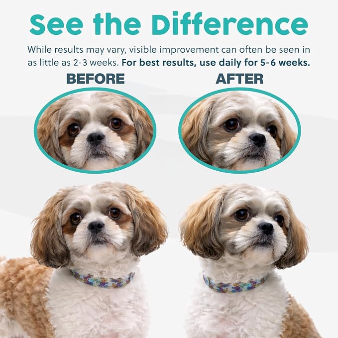 Tear Stain Remover for Dogs and Cats | Natural Supplement Suitable for All Breed Types | Pet Tear Stain Remover Powder | Made with Natural Ingredients | Beef Flavored - 1 Pack
