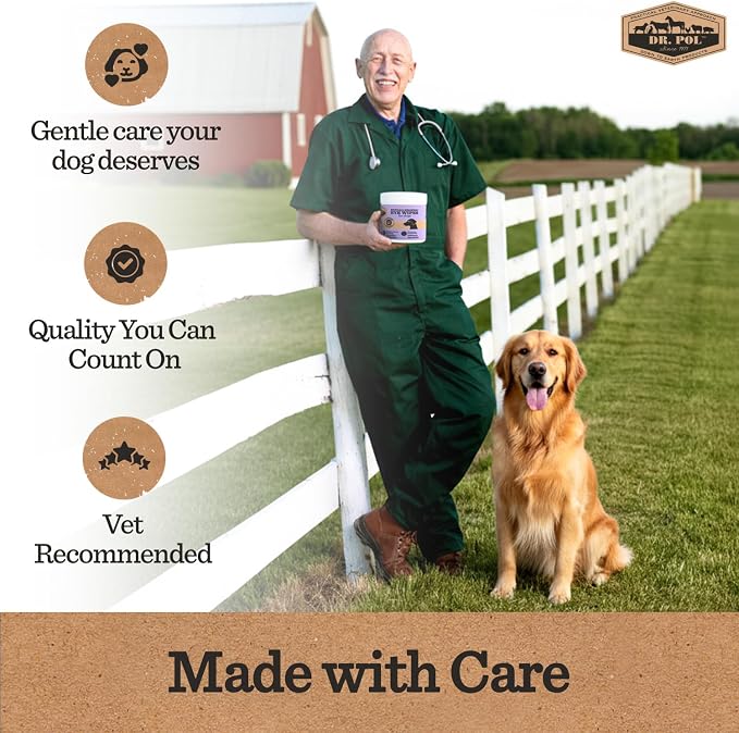 Dr. Pol Pet Eye Wipes for Dogs – Tear Stain Remover & Eye Discharge Cleaner – Hypoallergenic Grooming Wipes, 100 Count – Lightly Scented