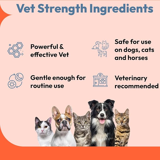 All Natural Medicated Benzoyl Peroxide 3% Shampoo for Dogs, Cats,Horses Helps Relieve Folliculitis, Dandruff, Psoriasis, Seborrheic Dermatitis, Itchy Scalp(3% Benzoyl Peroxide) Passion Fruit Scent