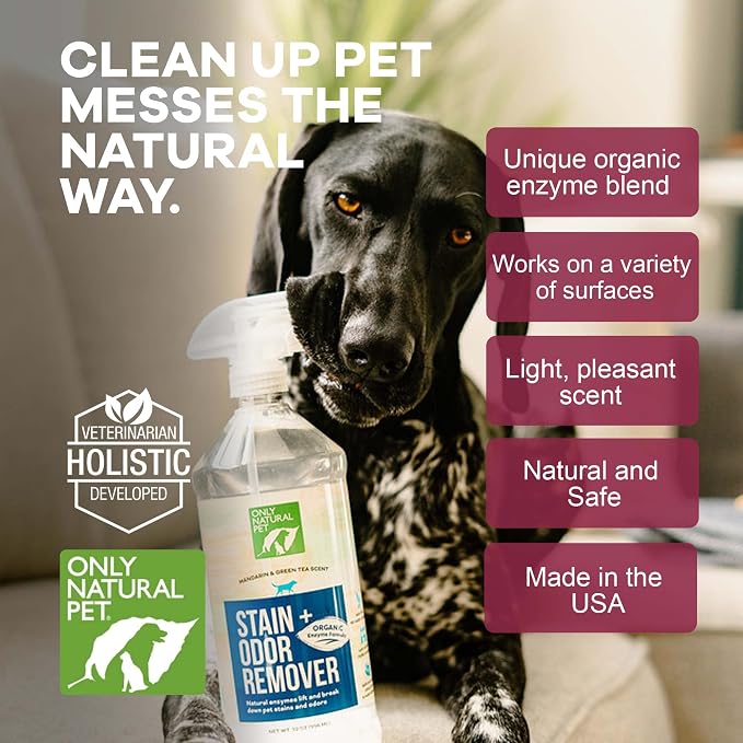 Only Natural Pet Stain & Odor Remover – Enzyme-Based Plant-Derived Formula for Dogs – Dog Stain & Urine Cleaner for Hardwood, Carpet & Upholstery – Fresh Mandarin Orange & Green Tea – 32 fl oz