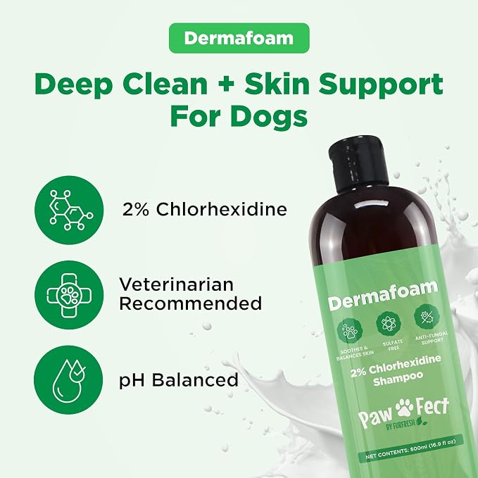 DermaFoam Dog Shampoo 16 oz | Pet Supplies for Odor Control & Greasy Coats – Sulfate Free Moisturizing Formula Pet Shampoo, Fresh Cucumber Scent 500ml