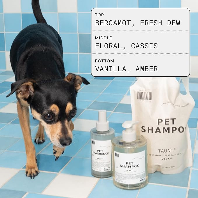 DedCool Pet Fragrance | 01 Taunt | Clean Luxury Pet Perfume for Dogs | Long-Lasting Deodorizing Spray | Non-Toxic, Vegan | 8.5 fl oz