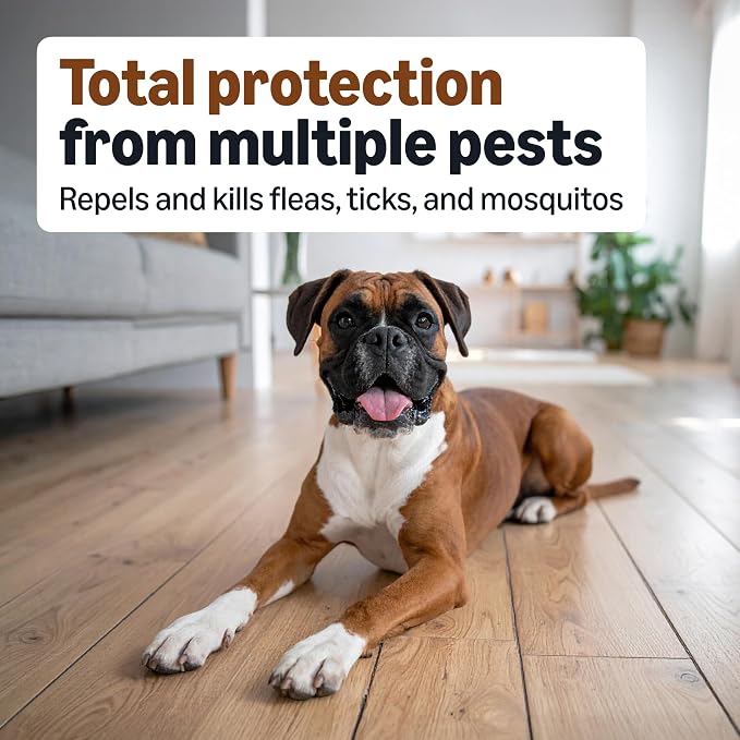 Amazon Basics Preventative Flea, Tick & Mosquito Topical Treatment for Large Dogs (21-55 Pounds), Kills Fleas, 4 Count, Packaging May Vary