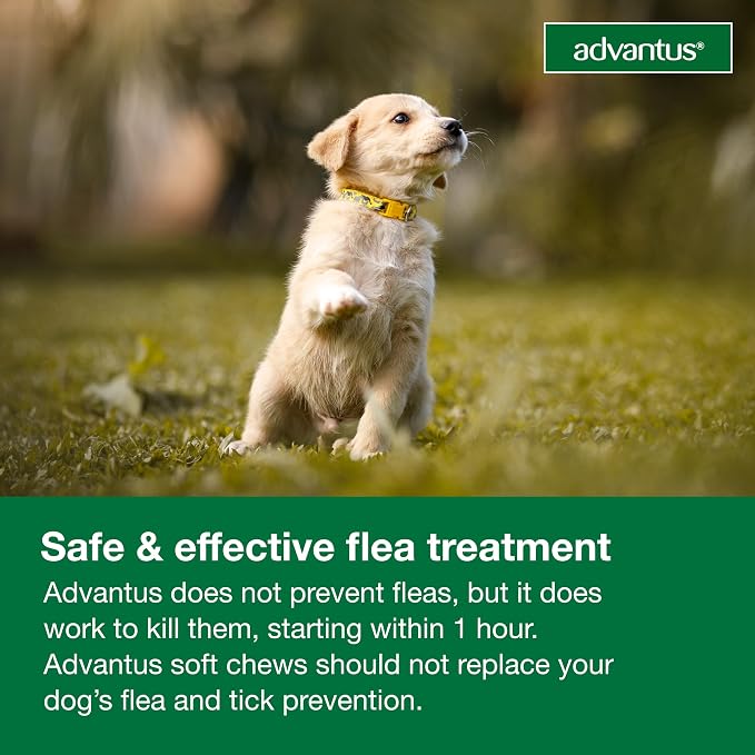 Advantus Dog Fast Acting Oral Flea Treatment Soft Chewable 4 - 22 lbs. | 7 ct.
