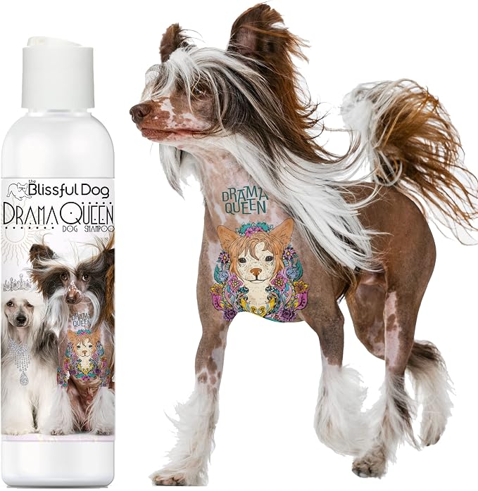 The Blissful Dog Chinese Crested Drama Queen Dog Shampoo, 16 oz.