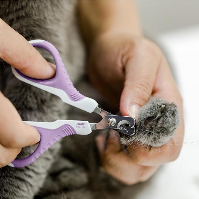 Mr. Pen- Cat Nail Clipper, Stainless Steel | Professional Sharp Cat Claw Trimmer for Small and Medium Cats, Pet Nail Clipper with Sturdy Non Slip Handle