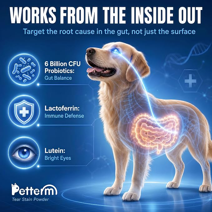 Tear Stain Remover Powder for Dogs & Cats, Probiotic Supplement, 15 Sachets | Pre-Measured Sachets, 6B Probiotics & Lactoferrin, Chicken Flavor for Picky Eaters, No Mess, Supports White Fur
