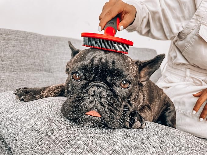 Tuff Pupper Round Bristle Soft Brush for Dogs and Cats | Gentle Grooming for Short or Long Hair | Soft Pin Tool for Sensitive Skin | Detangle & Remove Loose Fur | For Dematting & Detangling Undercoat
