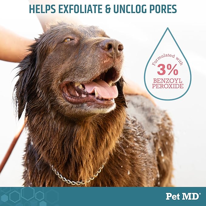 Pet MD - Benzoyl Peroxide Medicated Shampoo for Dogs and Cats - Effective for Skin Conditions, Dandruff, Itch Relief, Acne and Folliculitis - Citrus Scent - 12 oz (Pack of 2)
