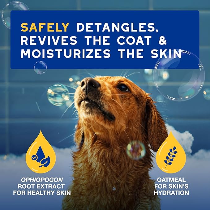 DOUXO SPA Oatmeal Dog Conditioner, 16 fl oz, Detangles and Moisturizes, Leaves the Coat Soft, Silky and Radiant, Ultra-Safe Skin-Friendly Formula