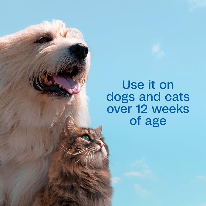 ADAMS Plus Pyrethrin Flea Dip for Dogs and Cats, Kills and Repels Fleas, Ticks, Lice, Gnats, Mosquitoes and Flies, for Dogs, Cats, Puppies, & Kittens, 4 Fl oz (Pack of 2)