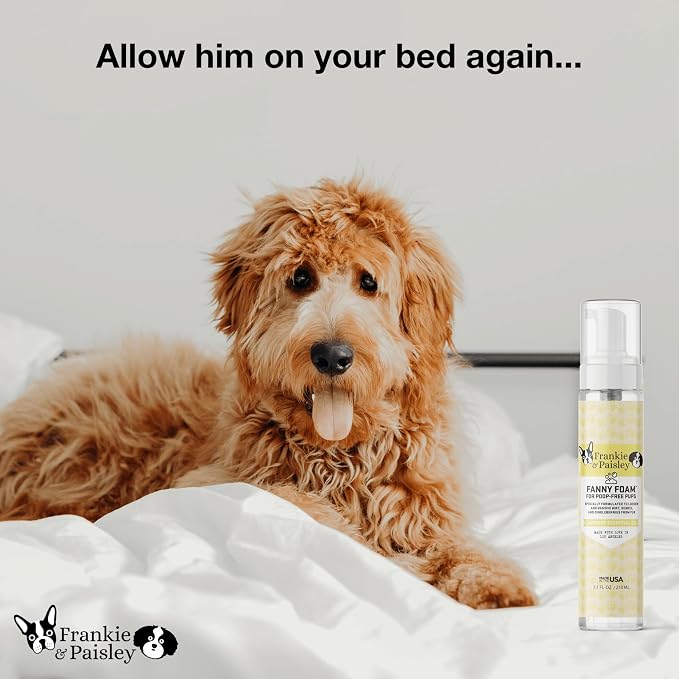 No Rinse Dog Shampoo & Paw Cleaner - Waterless Wash for Dogs & Cats - Gentle, Painless Dingleberry Removal