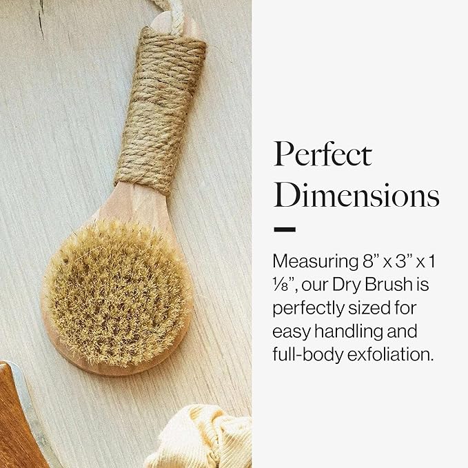 Esker Dry Brush | Lymphatic Drainage Massager and Exfoliating Body Scrubber | Body Scrubber Exfoliator | Natural Bristles | Daily Shower and Bath Ritual