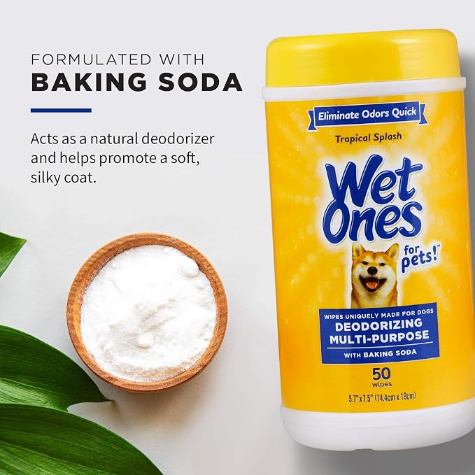 Wet Ones for Pets Deodorizing Dog Wipes with Baking Soda, Tropical Splash Scent - Multipurpose Deodorizing Pet Grooming Wipes in Resealable Canister, 50 Count - 12 Pack