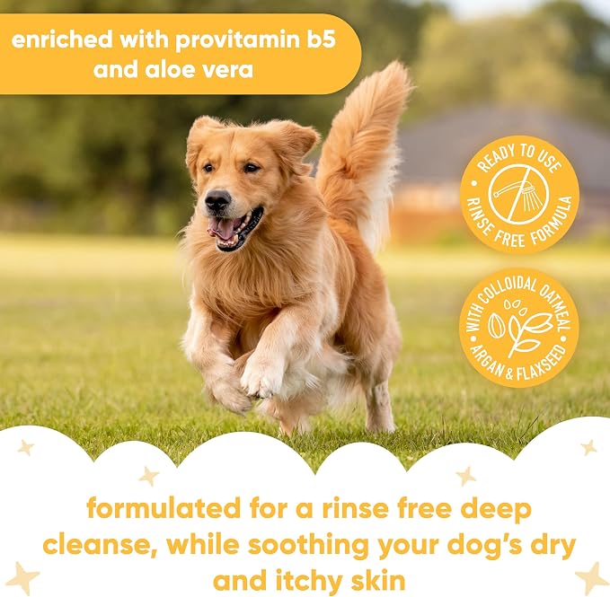 Moisturising Itch Relief Waterless Dog Shampoo by Buddycare