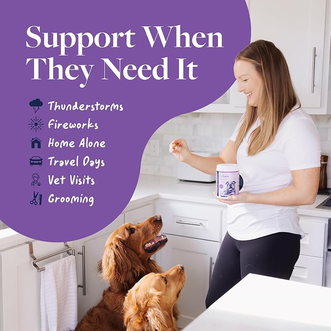 Veterinary Formula Pet Calm 120ct – Vet-Formulated Calming Chews for Dogs with L-Theanine, L-Tryptophan for Behavior Support, Relaxation Treats, Puppy Chews for Stressful Situations, Dog Calming Aid