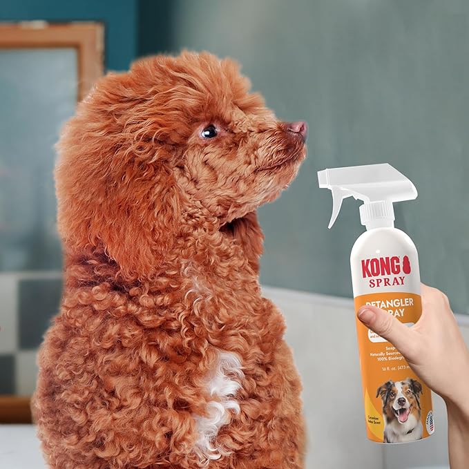 Kong Detangler Spray for Dogs – Cucumber Melon Scent, 16 fl oz – Loosens Knots, Softens & Smooths Coats, Biodegradable, Alcohol-Free, Dye-Free, Cruelty-Free, for Sensitive Skin, Made in USA
